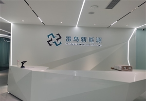 雷鸟新能源